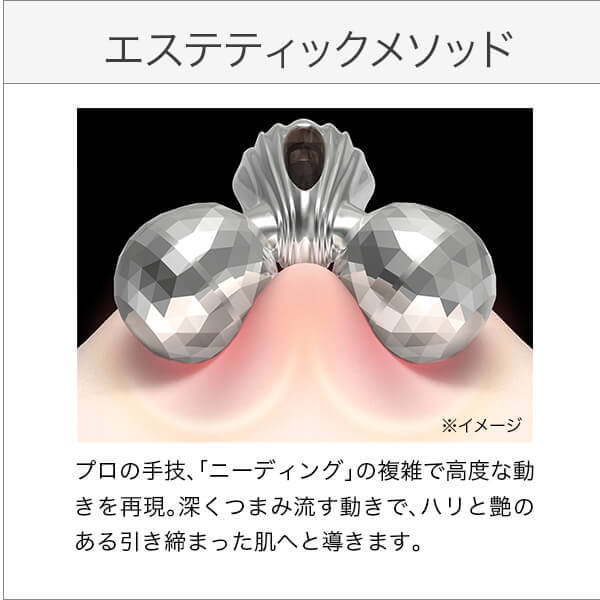 【ReFaギフトラッピングセット S】リファカラットレイ