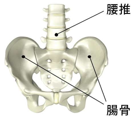 腰推 腸骨