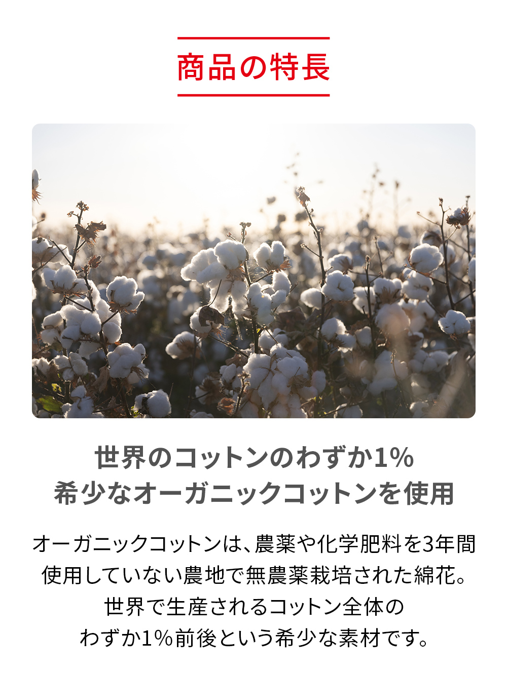 ReD ぐっすりパジャマ オーガニックコットン 長袖ロングパンツセット ライトグレー L ライトグレー L