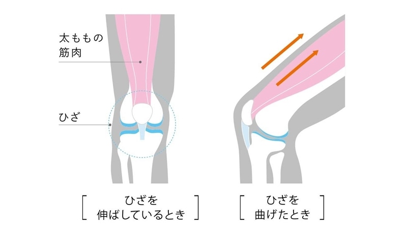 膝痛の原因