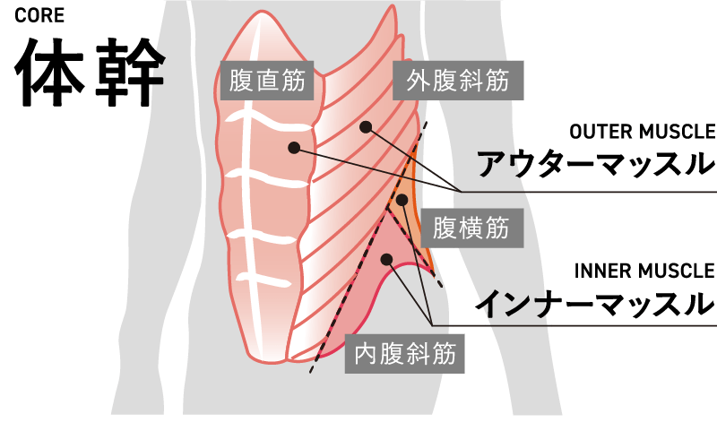 体幹とは?