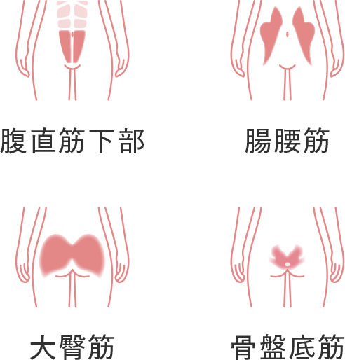 コアヒップのトレーニング部位画像