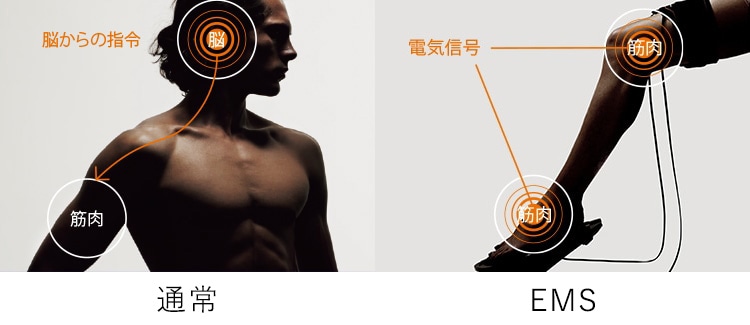 EMS