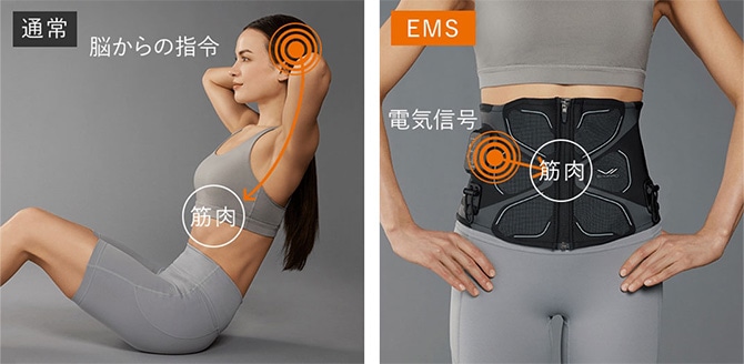 EMS